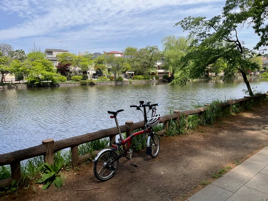Shakujii Park