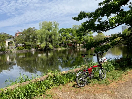 Shakujii Park