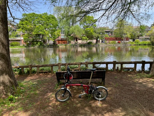 Shakujii Park