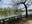 Shakujii Park