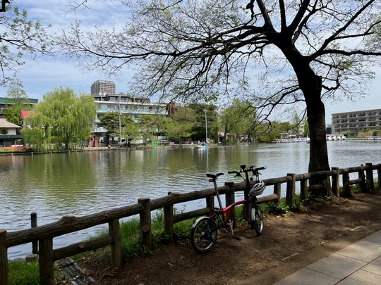 Shakujii Park