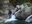 Shosenkyo Gorge