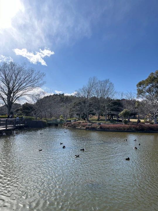 Sodegaura Park