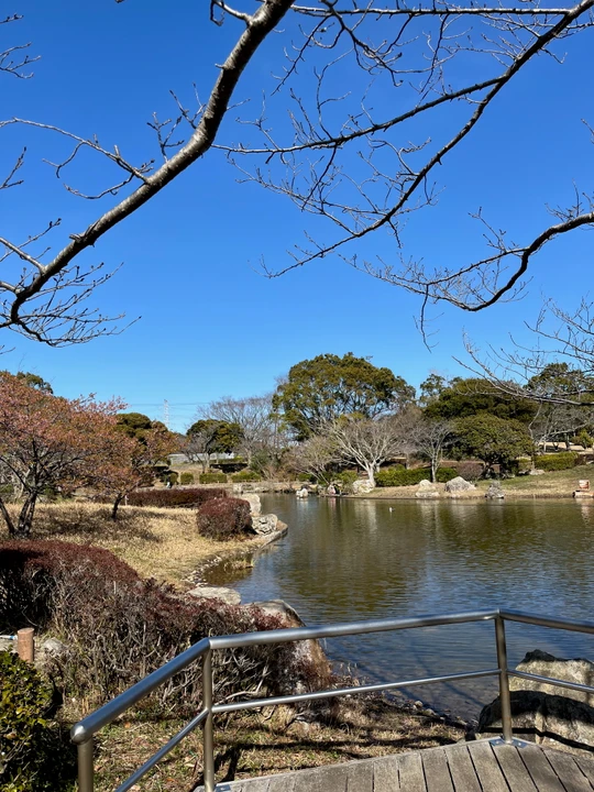 Sodegaura Park