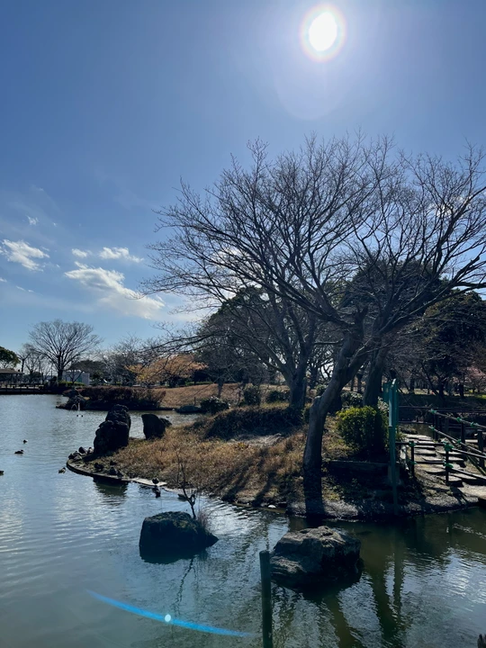 Sodegaura Park