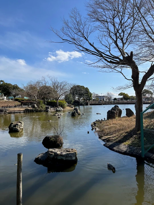 Sodegaura Park
