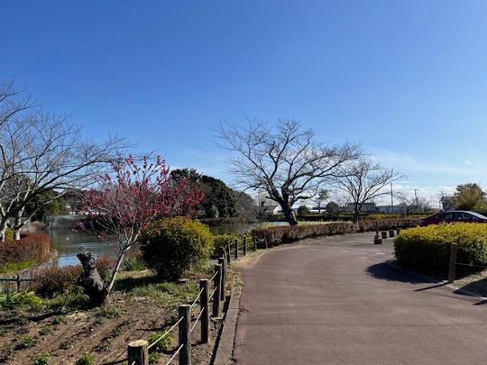 Sodegaura Park