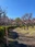Sodegaura Park