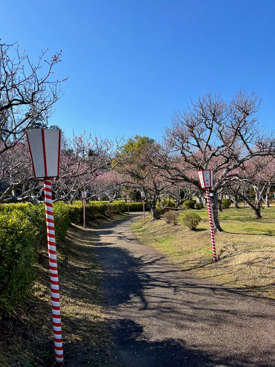 Sodegaura Park