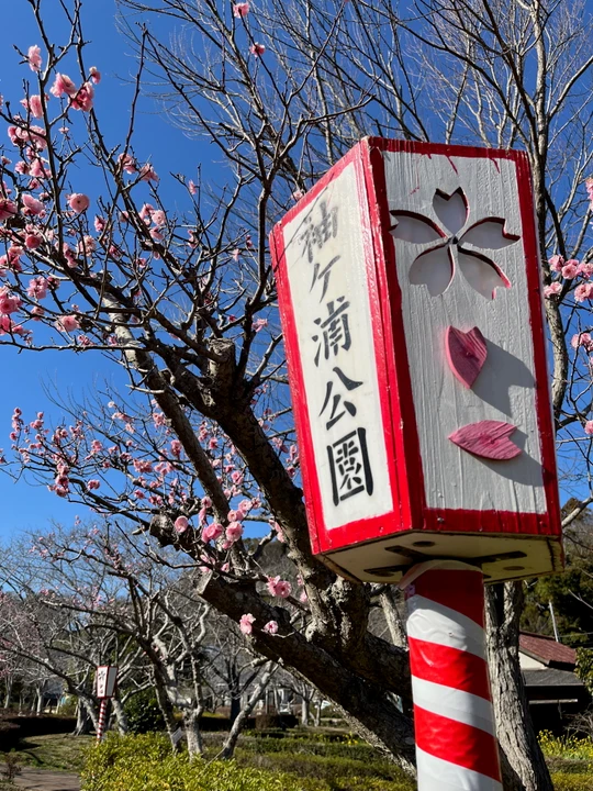 Sodegaura Park