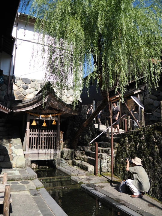 Sogi Spring