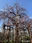 Sumida Park