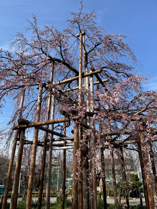 Sumida Park
