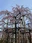 Sumida Park