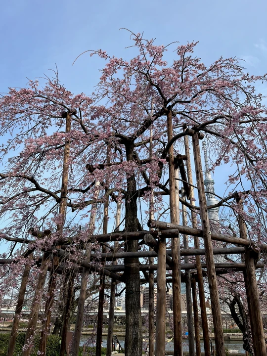 Sumida Park