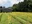 Sunflower Field