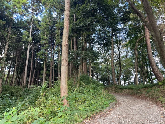 Takiyama Castle Ruins