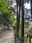 Takiyama Castle Ruins