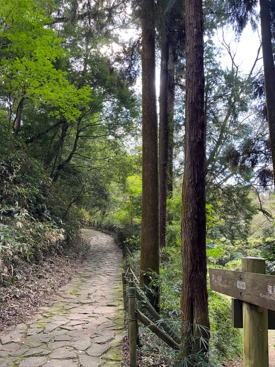 Takiyama Castle Ruins