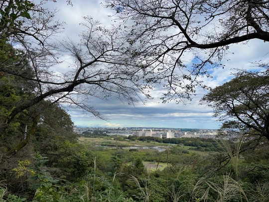 Takiyama Castle Ruins