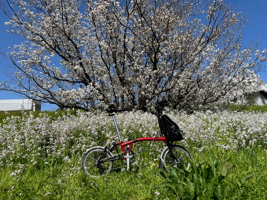 Tamagawa Gyokusen Park