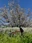 Tamagawa Gyokusen Park