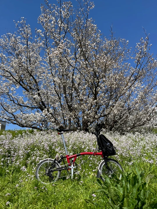 Tamagawa Gyokusen Park
