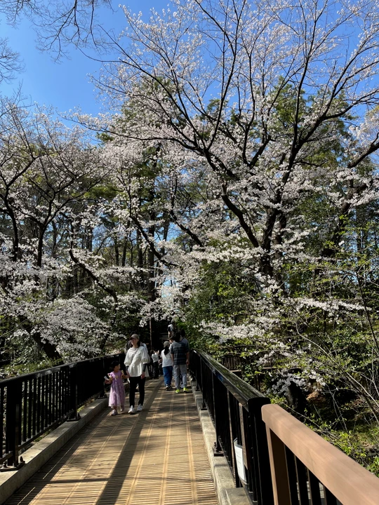 Tamagawadai Park