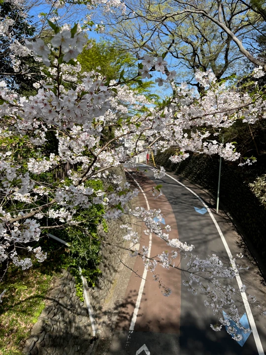 Tamagawadai Park