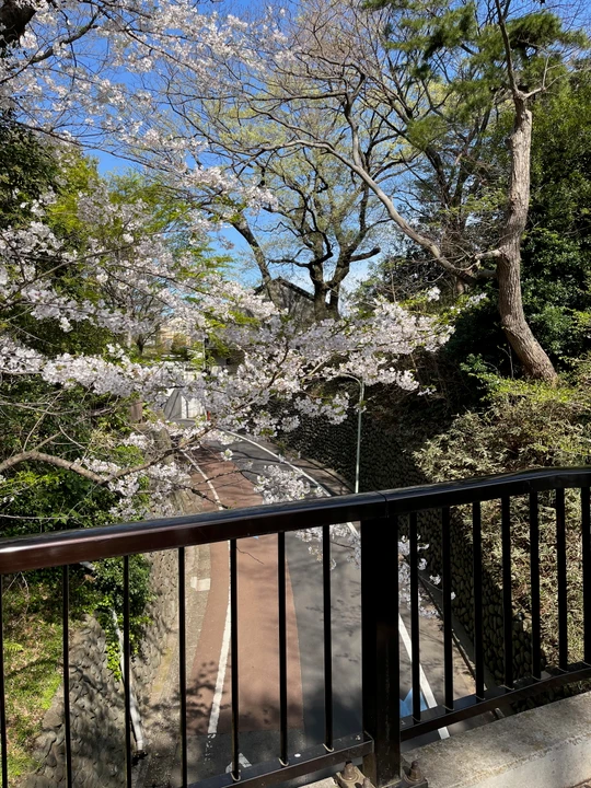 Tamagawadai Park