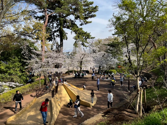 Tamagawadai Park