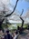Tamagawadai Park
