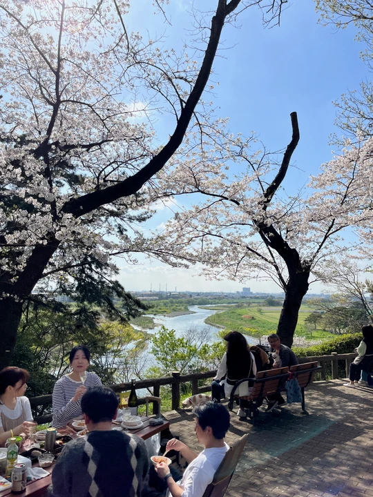 Tamagawadai Park