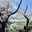 Tamagawadai Park