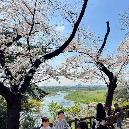 Tamagawadai Park