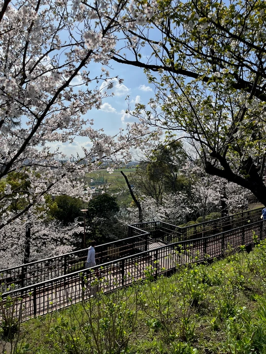 Tamagawadai Park