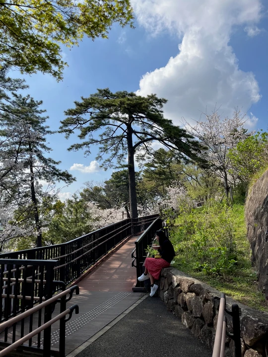 Tamagawadai Park