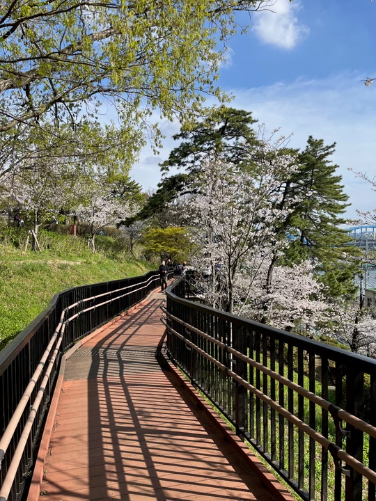 Tamagawadai Park
