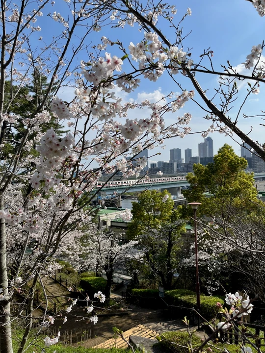 Tamagawadai Park