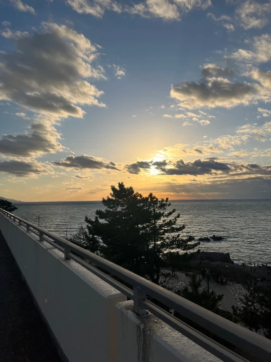 Tojinbo cliffs