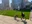 Tokyo Midtown