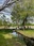 Toneri Park