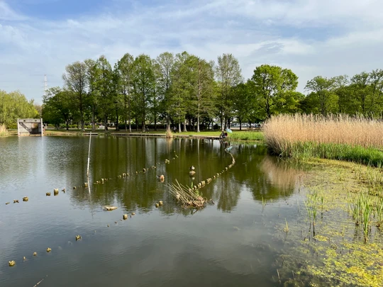 Toneri Park