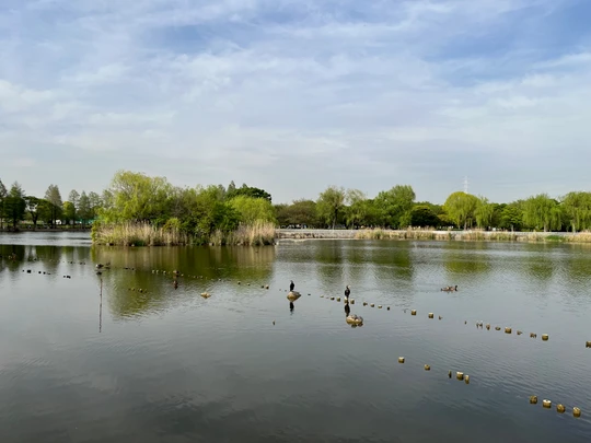 Toneri Park