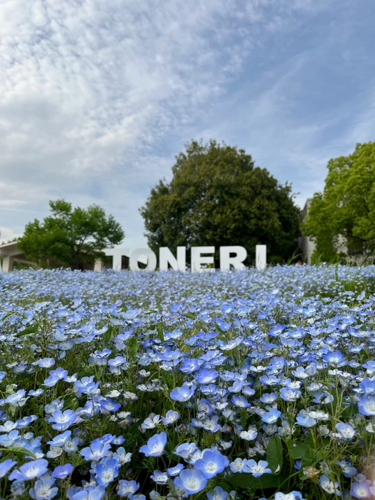 Toneri Park