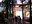 Torii of Peace