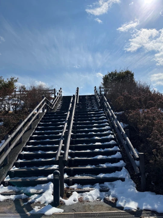 Toriibara Park