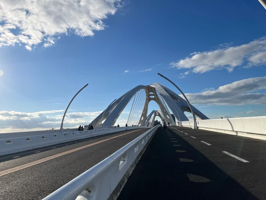 Toyota Ohashi bridge