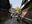 Yanaka Lane