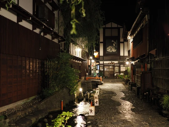 Yanaka Lane